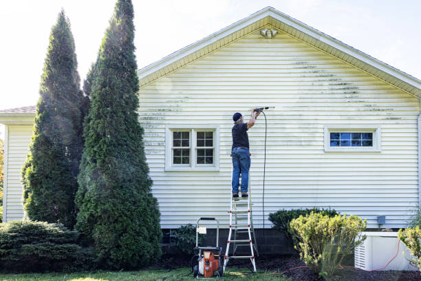 Best Restaurant Pressure Washing  in Carrizozo, NM